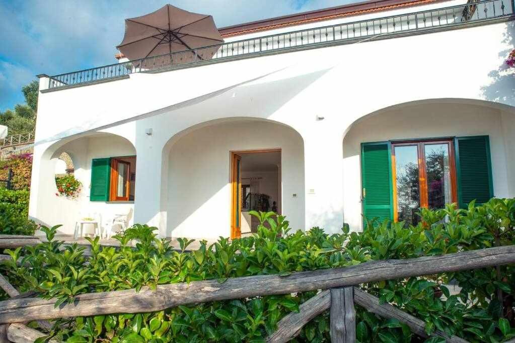 Villa Il Sogno Di Zia Ada Massa Lubrense Buitenkant foto
